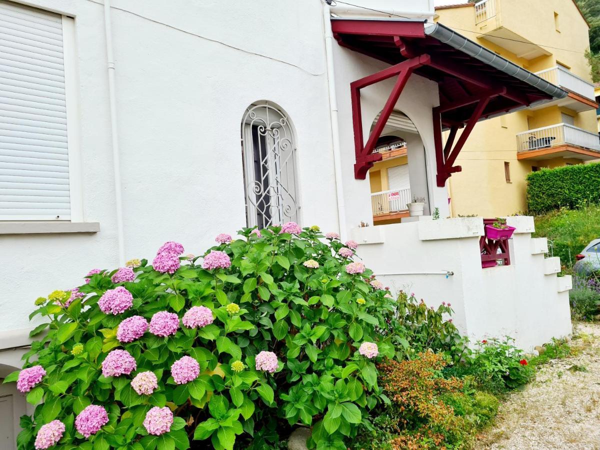 Villa La Closeraie Amélie-les-Bains-Palalda Exteriör bild
